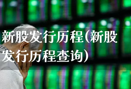 新股发行历程(新股发行历程查询)_https://www.xzdzchf.com_深交所_第1张