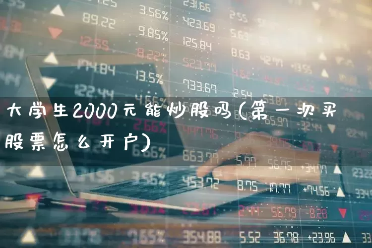 大学生2000元能炒股吗(第一次买股票怎么开户)_https://www.xzdzchf.com_创业板_第1张