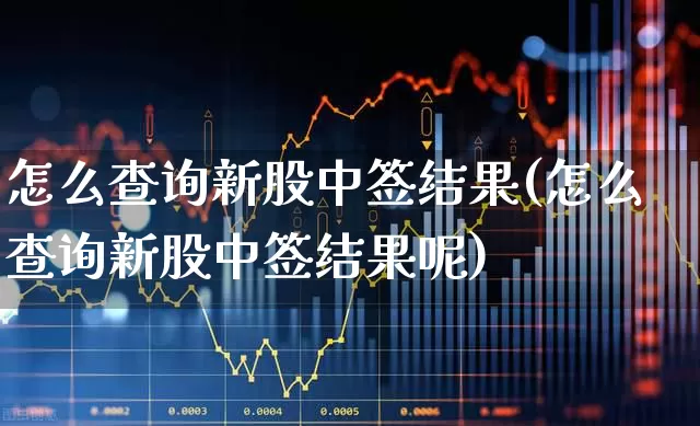 怎么查询新股中签结果(怎么查询新股中签结果呢)_https://www.xzdzchf.com_上交所_第1张
