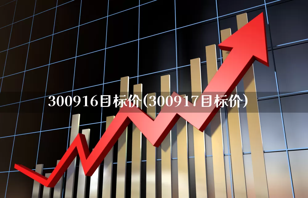 300916目标价(300917目标价)_https://www.xzdzchf.com_深交所_第1张