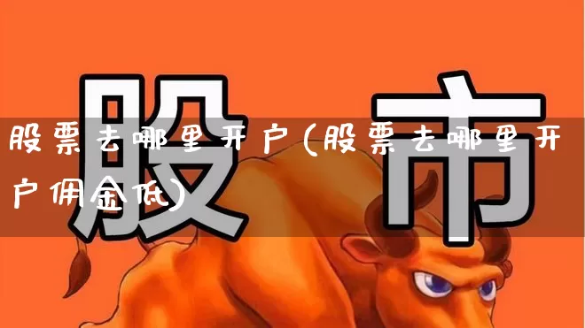 股票去哪里开户(股票去哪里开户佣金低)_https://www.xzdzchf.com_深交所_第1张