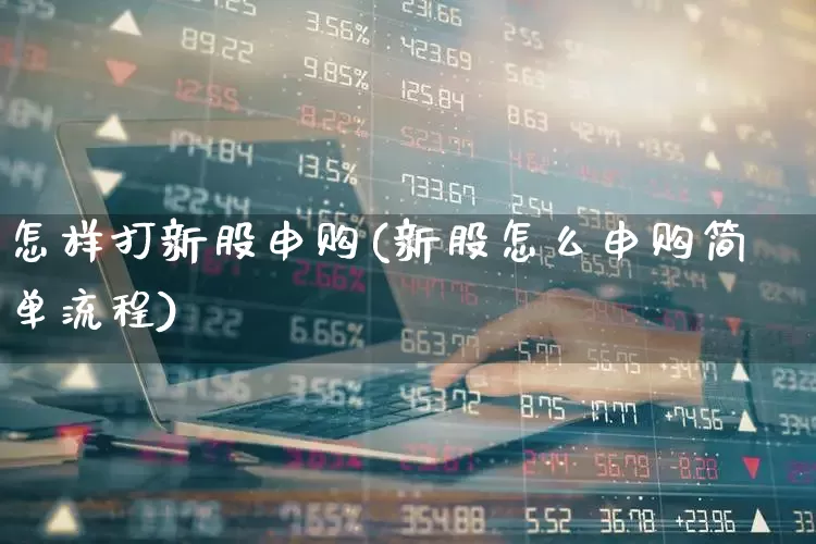 怎样打新股申购(新股怎么申购简单流程)_https://www.xzdzchf.com_深交所_第1张