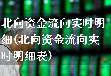 北向资金流向实时明细(北向资金流向实时明细表)_https://www.xzdzchf.com_创业板_第1张