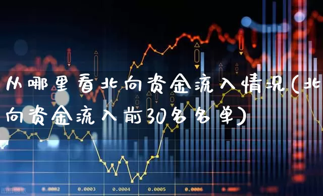 从哪里看北向资金流入情况(北向资金流入前30名名单)_https://www.xzdzchf.com_科创板_第1张