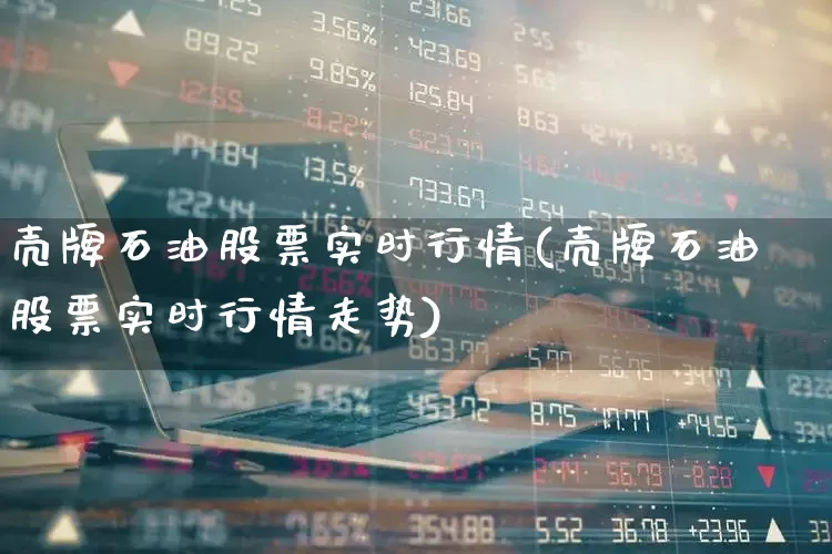 壳牌石油股票实时行情(壳牌石油股票实时行情走势)_https://www.xzdzchf.com_创业板_第1张