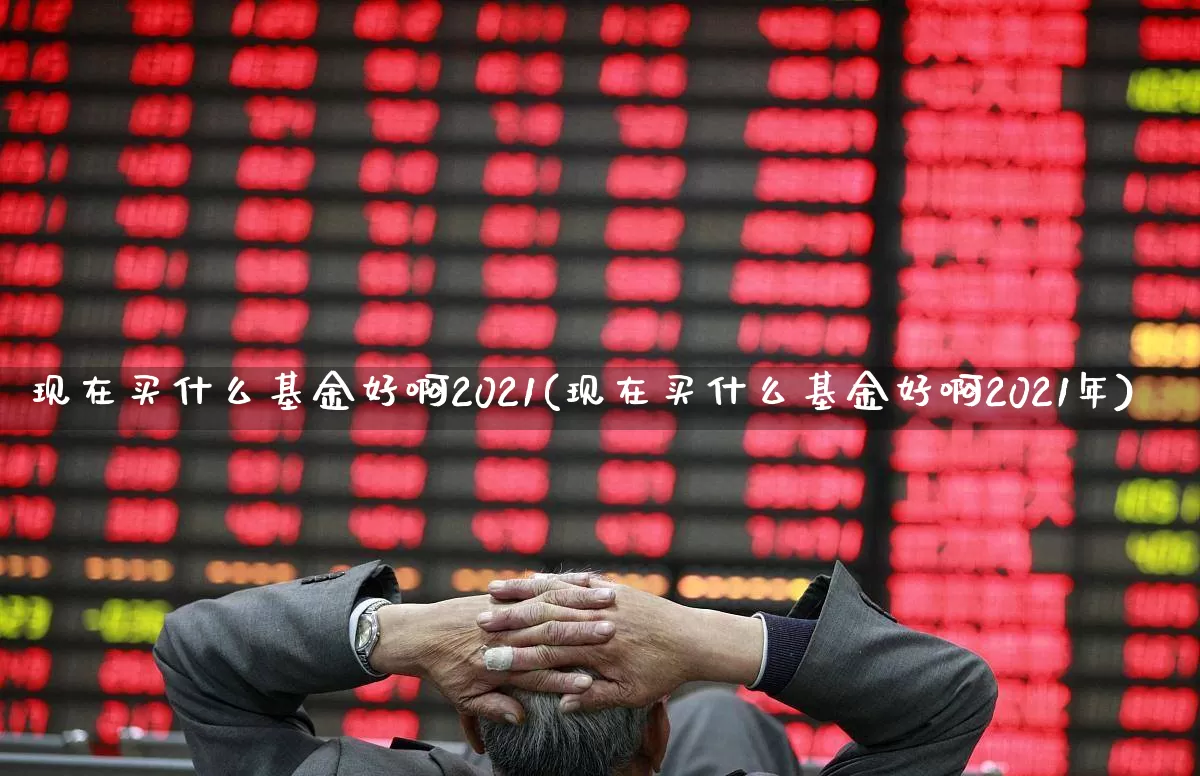 现在买什么基金好啊2021(现在买什么基金好啊2021年)_https://www.xzdzchf.com_科创板_第1张