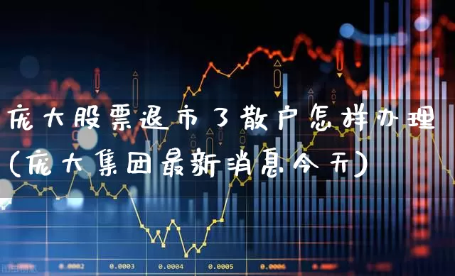 庞大股票退市了散户怎样办理(庞大集团最新消息今天)_https://www.xzdzchf.com_科创板_第1张