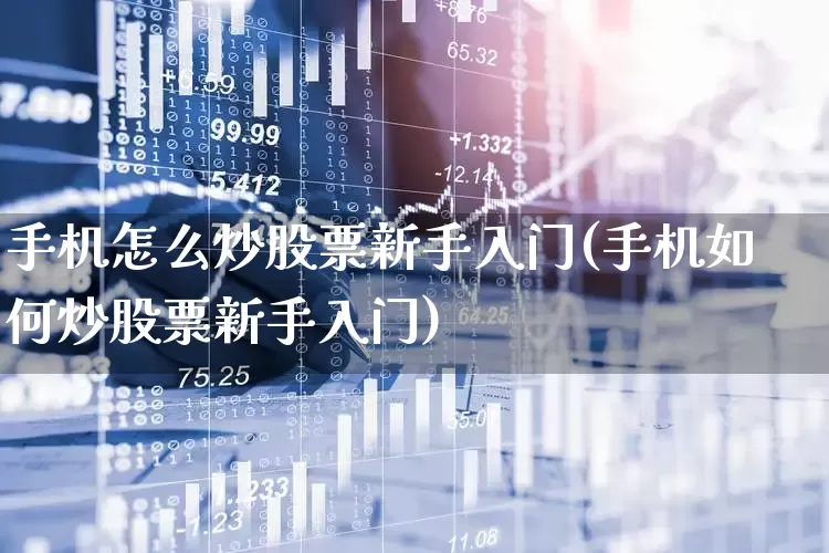 手机怎么炒股票新手入门(手机如何炒股票新手入门)_https://www.xzdzchf.com_深交所_第1张