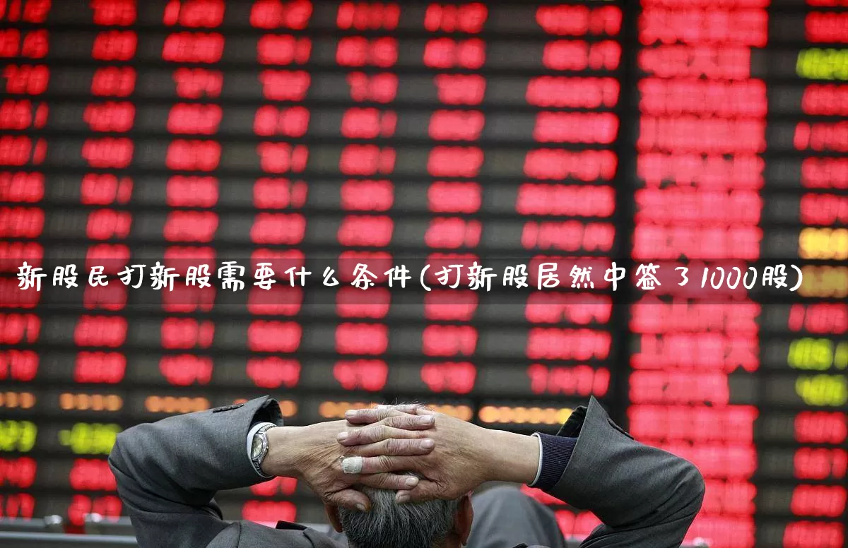 新股民打新股需要什么条件(打新股居然中签了1000股)_https://www.xzdzchf.com_深交所_第1张