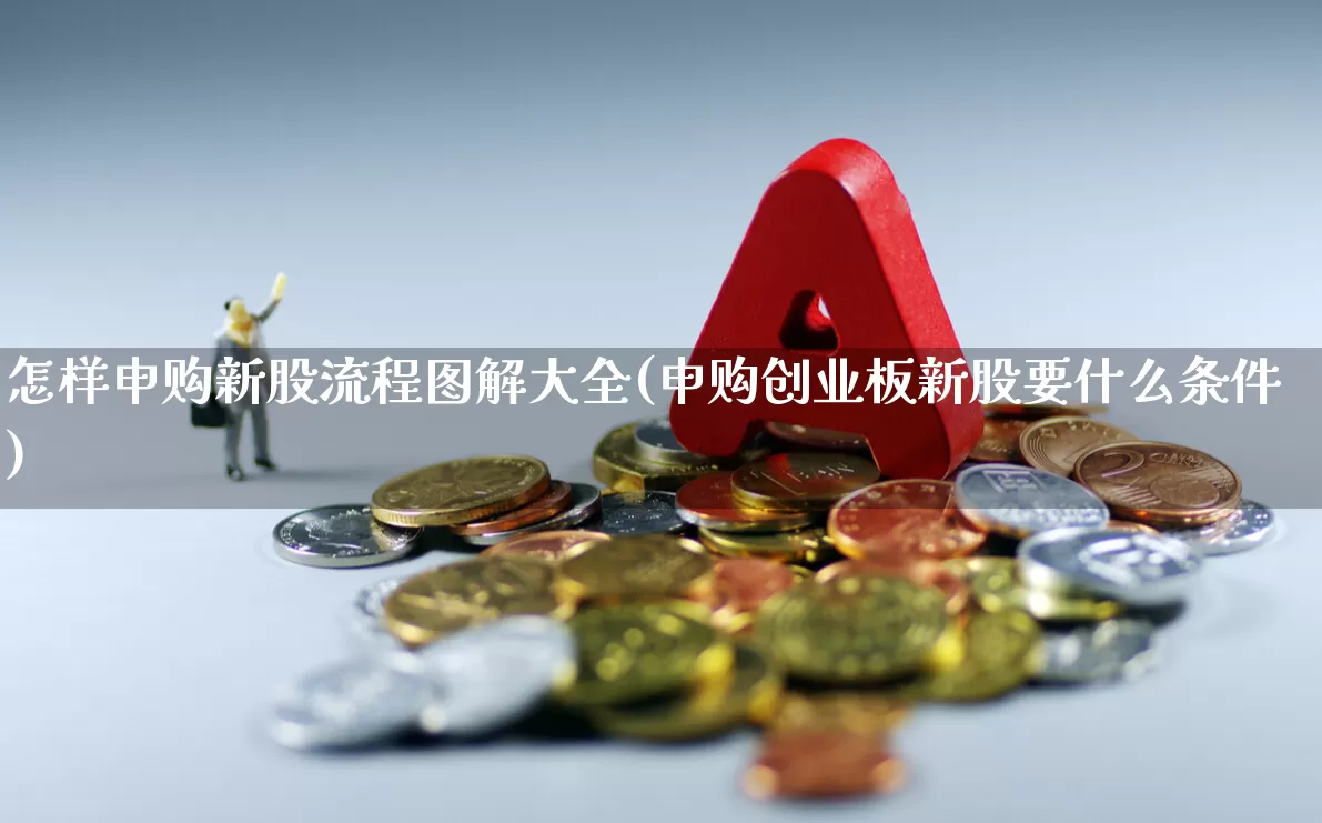 怎样申购新股流程图解大全(申购创业板新股要什么条件)_https://www.xzdzchf.com_深交所_第1张