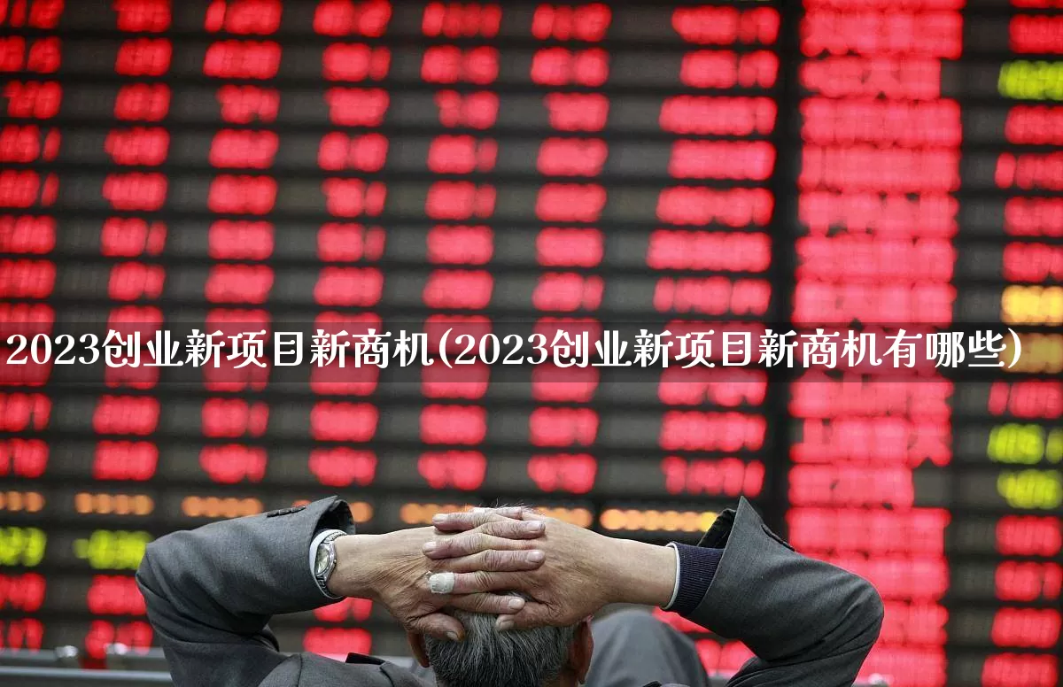2023创业新项目新商机(2023创业新项目新商机有哪些)_https://www.xzdzchf.com_北交所_第1张