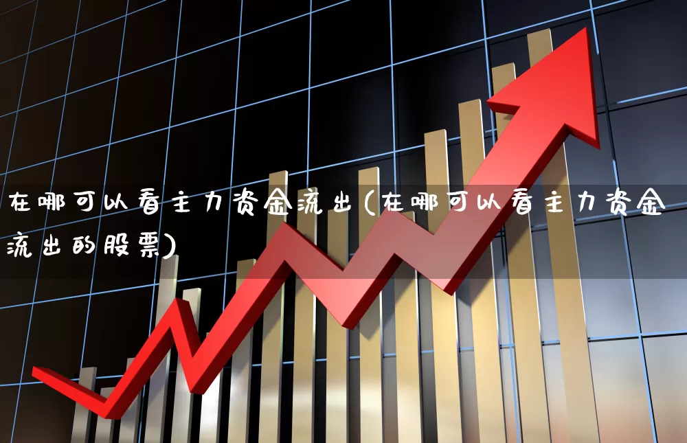 在哪可以看主力资金流出(在哪可以看主力资金流出的股票)_https://www.xzdzchf.com_上交所_第1张