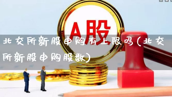 北交所新股申购有上限吗(北交所新股申购股数)_https://www.xzdzchf.com_北交所_第1张