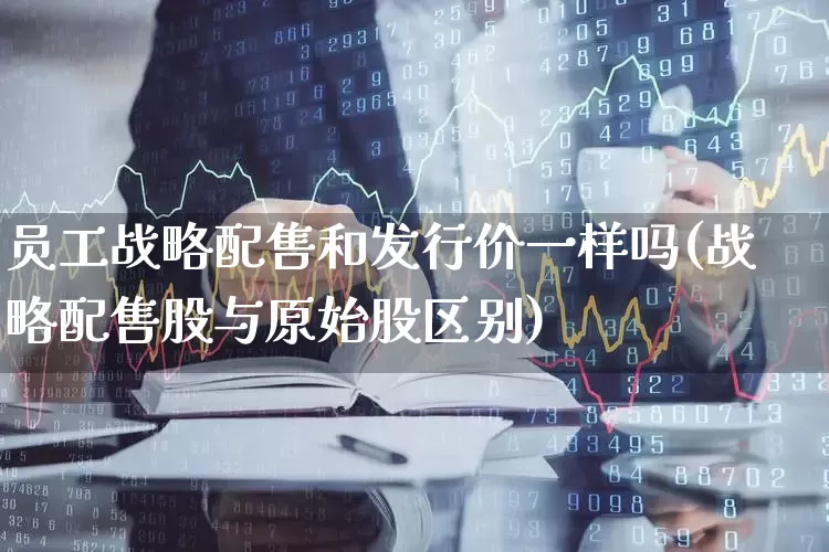 员工战略配售和发行价一样吗(战略配售股与原始股区别)_https://www.xzdzchf.com_北交所_第1张