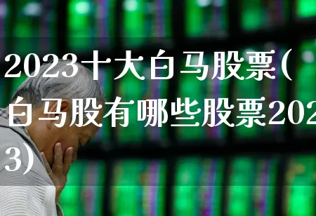2023十大白马股票(白马股有哪些股票2023)_https://www.xzdzchf.com_深交所_第1张