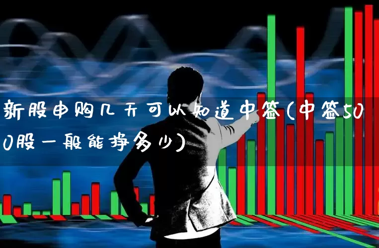 新股申购几天可以知道中签(中签500股一般能挣多少)_https://www.xzdzchf.com_北交所_第1张