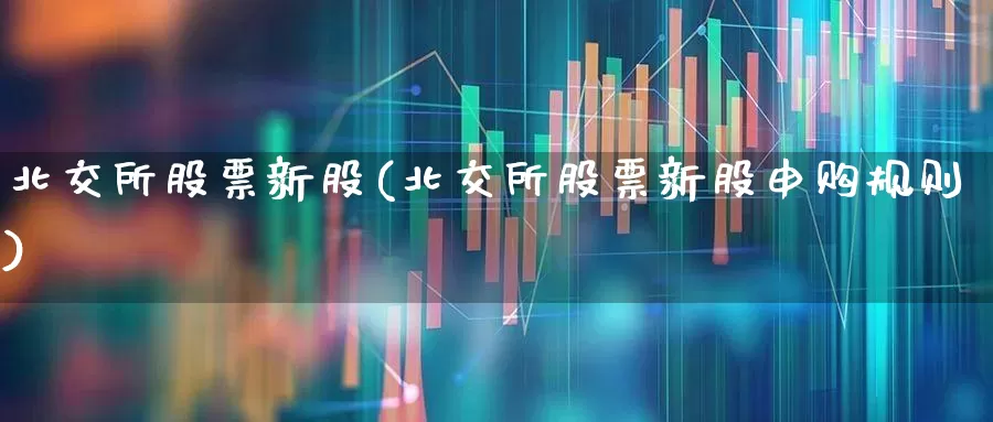 北交所股票新股(北交所股票新股申购规则)_https://www.xzdzchf.com_上交所_第1张