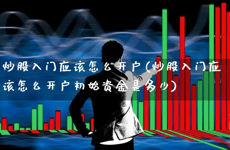 炒股入门应该怎么开户(炒股入门应该怎么开户初始资金是多少)_https://www.xzdzchf.com_创业板_第1张