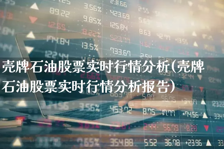 壳牌石油股票实时行情分析(壳牌石油股票实时行情分析报告)_https://www.xzdzchf.com_创业板_第1张