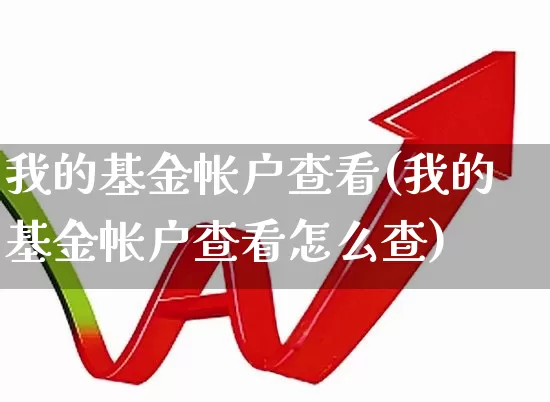 我的基金帐户查看(我的基金帐户查看怎么查)_https://www.xzdzchf.com_创业板_第1张