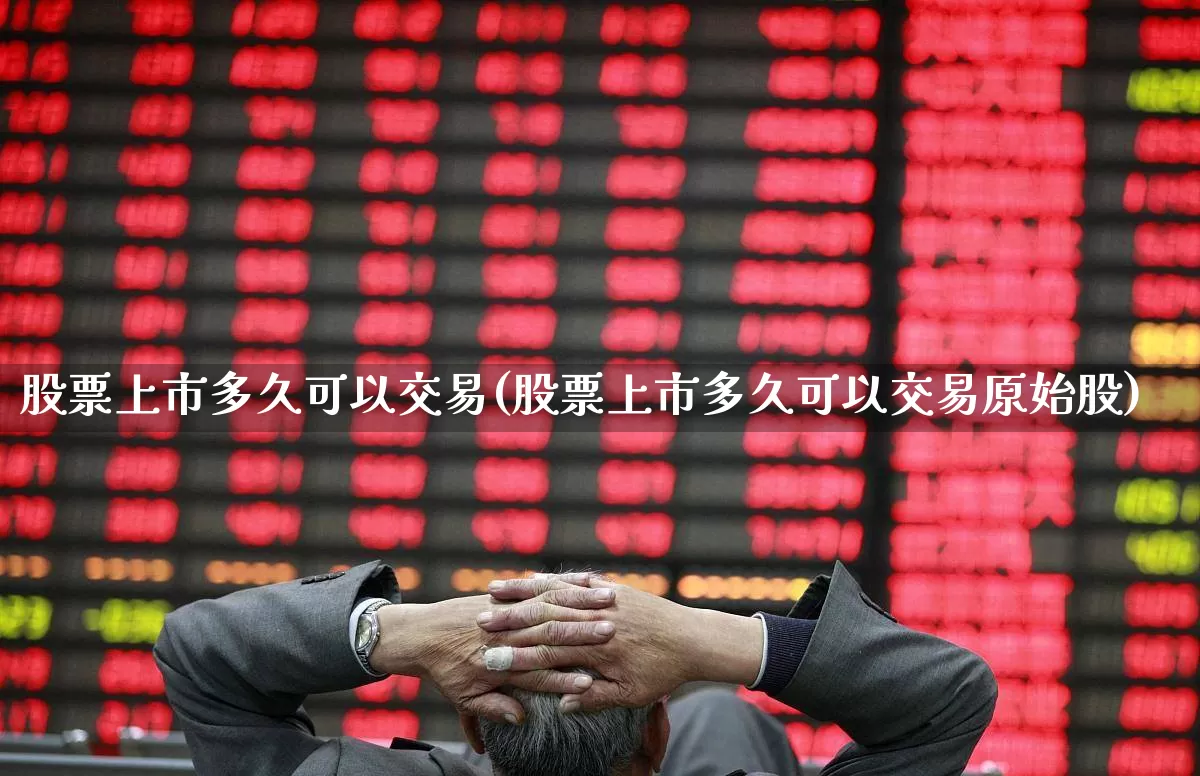 股票上市多久可以交易(股票上市多久可以交易原始股)_https://www.xzdzchf.com_深交所_第1张