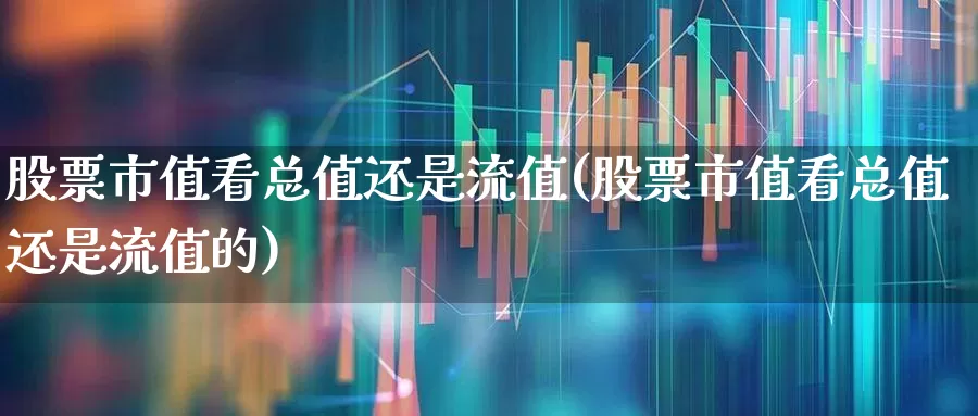 股票市值看总值还是流值(股票市值看总值还是流值的)_https://www.xzdzchf.com_科创板_第1张