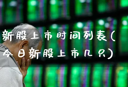 新股上市时间列表(今日新股上市几只)_https://www.xzdzchf.com_深交所_第1张