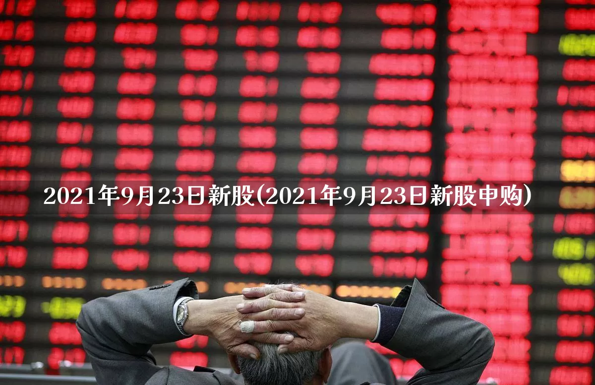 2021年9月23日新股(2021年9月23日新股申购)_深交所_第1张_财经网 2021年9月23日新股(2021年9月23日新股申购)_https://www.xzdzchf.com_深交所_第1张