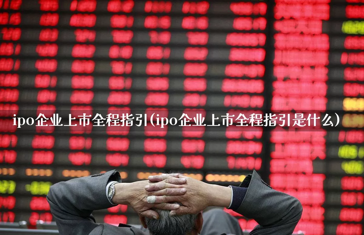 ipo企业上市全程指引(ipo企业上市全程指引是什么)_https://www.xzdzchf.com_创业板_第1张