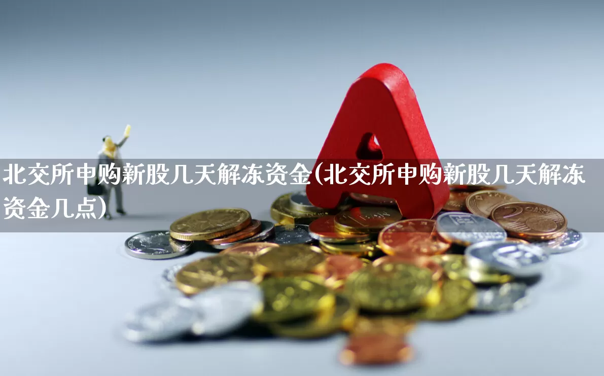 北交所申购新股几天解冻资金(北交所申购新股几天解冻资金几点)_https://www.xzdzchf.com_创业板_第1张
