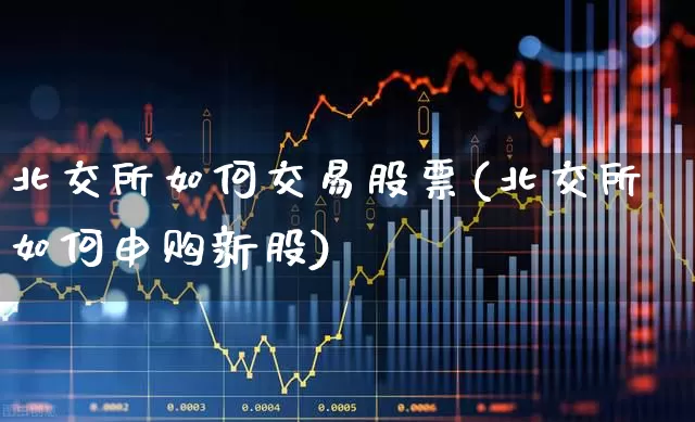 北交所如何交易股票(北交所如何申购新股)_https://www.xzdzchf.com_科创板_第1张