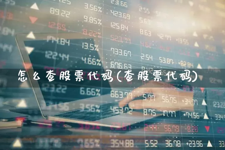 怎么查股票代码(查股票代码)_深交所_第1张_财经网 怎么查股票代码(查股票代码)_https://www.xzdzchf.com_深交所_第1张