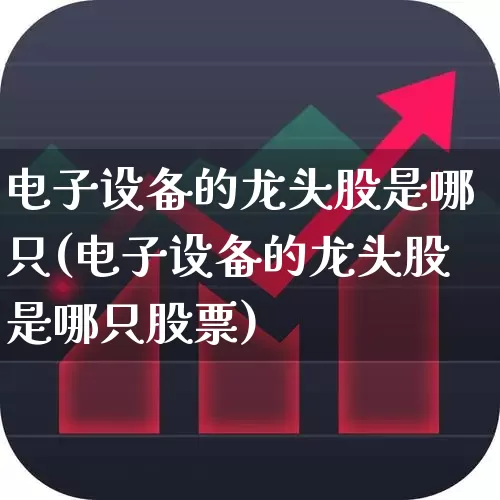电子设备的龙头股是哪只(电子设备的龙头股是哪只股票)_https://www.xzdzchf.com_北交所_第1张