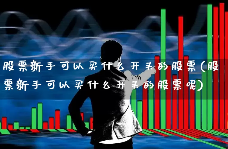 股票新手可以买什么开头的股票(股票新手可以买什么开头的股票呢)_https://www.xzdzchf.com_创业板_第1张