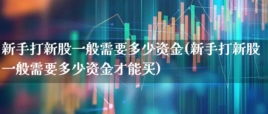 新手打新股一般需要多少资金(新手打新股一般需要多少资金才能买)_https://www.xzdzchf.com_北交所_第1张