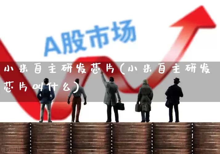 小米自主研发芯片(小米自主研发芯片叫什么)_https://www.xzdzchf.com_北交所_第1张