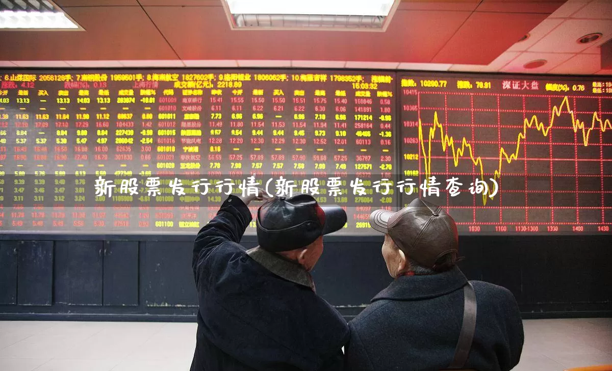 新股票发行行情(新股票发行行情查询)_https://www.xzdzchf.com_深交所_第1张