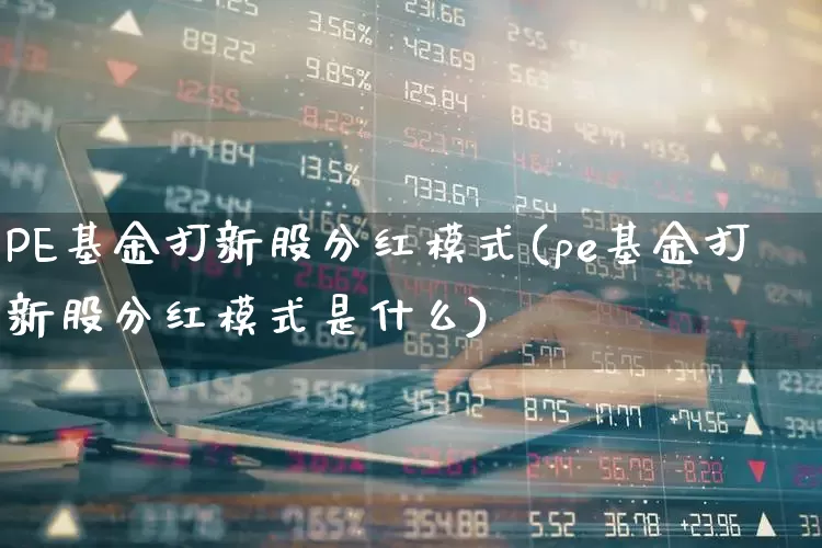 PE基金打新股分红模式(pe基金打新股分红模式是什么)_https://www.xzdzchf.com_创业板_第1张
