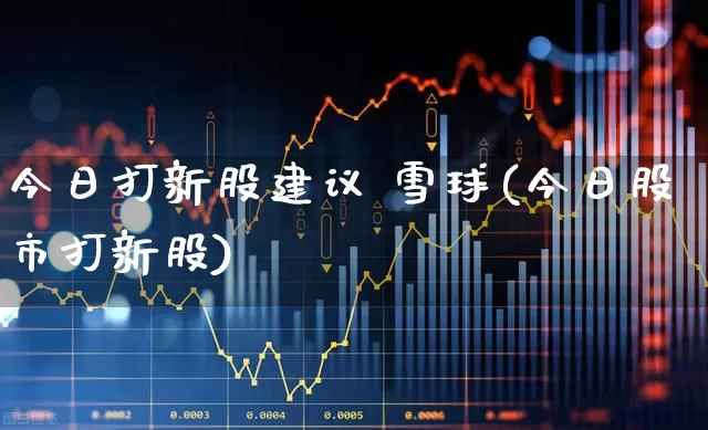 今日打新股建议 雪球(今日股市打新股)_https://www.xzdzchf.com_科创板_第1张