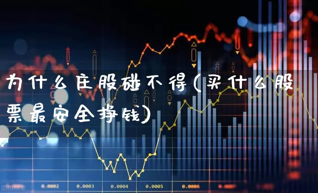为什么庄股碰不得(买什么股票最安全挣钱)_https://www.xzdzchf.com_北交所_第1张