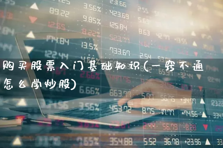 购买股票入门基础知识(一窍不通怎么学炒股)_https://www.xzdzchf.com_北交所_第1张