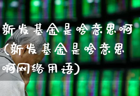 新发基金是啥意思啊(新发基金是啥意思啊网络用语)_https://www.xzdzchf.com_创业板_第1张