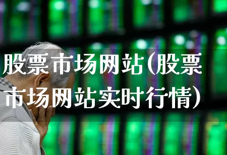 股票市场网站(股票市场网站实时行情)_https://www.xzdzchf.com_北交所_第1张