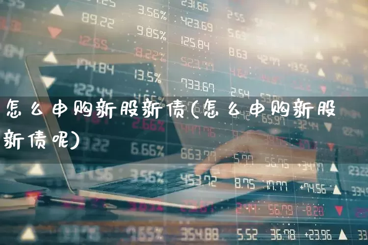 怎么申购新股新债(怎么申购新股新债呢)_https://www.xzdzchf.com_创业板_第1张