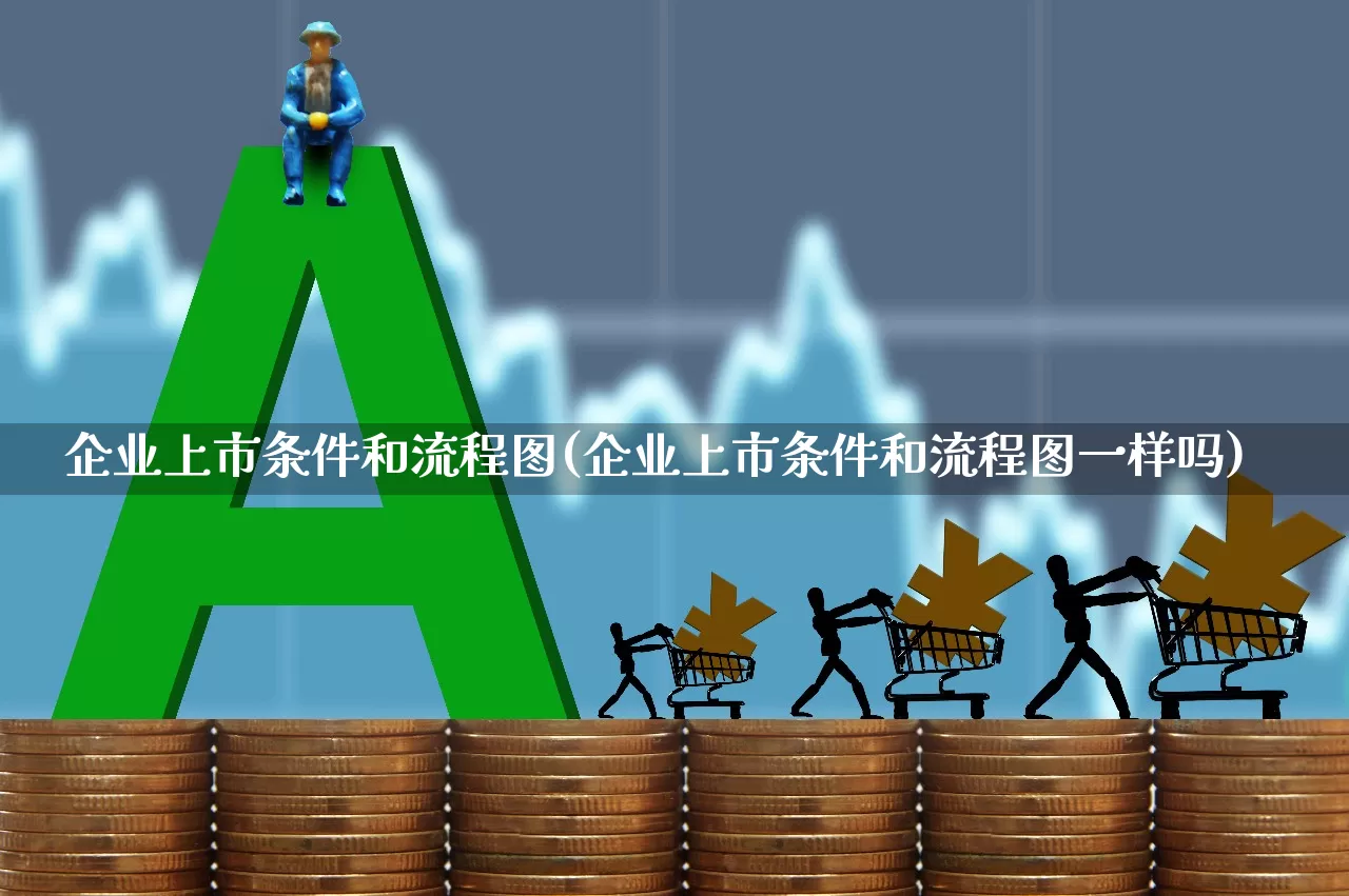 企业上市条件和流程图(企业上市条件和流程图一样吗)_https://www.xzdzchf.com_上交所_第1张