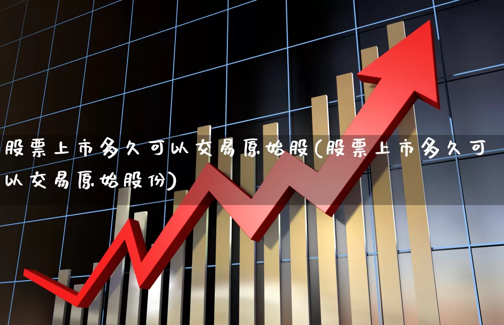 股票上市多久可以交易原始股(股票上市多久可以交易原始股份)_深交所_第1张_财经网 股票上市多久可以交易原始股(股票上市多久可以交易原始股份)_https://www.xzdzchf.com_深交所_第1张