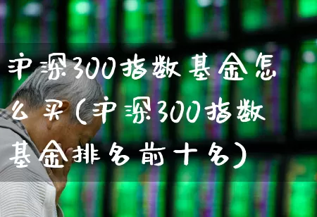 沪深300指数基金怎么买(沪深300指数基金排名前十名)_https://www.xzdzchf.com_北交所_第1张