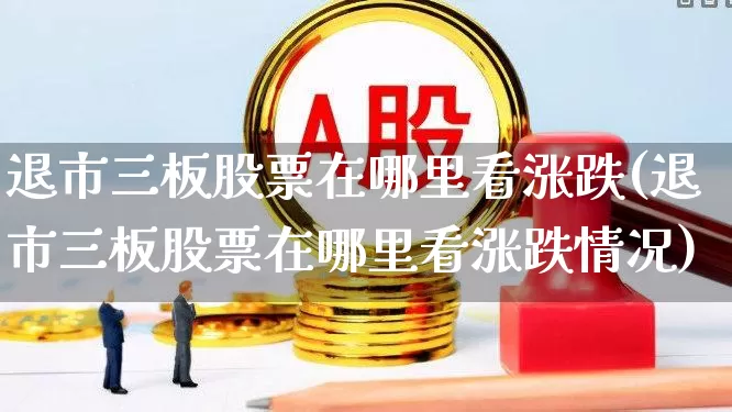 退市三板股票在哪里看涨跌(退市三板股票在哪里看涨跌情况)_https://www.xzdzchf.com_北交所_第1张