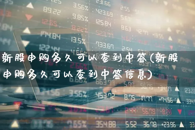 新股申购多久可以查到中签(新股申购多久可以查到中签信息)_https://www.xzdzchf.com_上交所_第1张