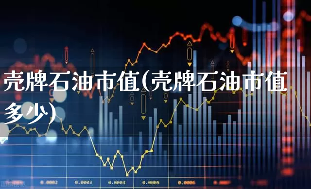 壳牌石油市值(壳牌石油市值多少)_https://www.xzdzchf.com_北交所_第1张